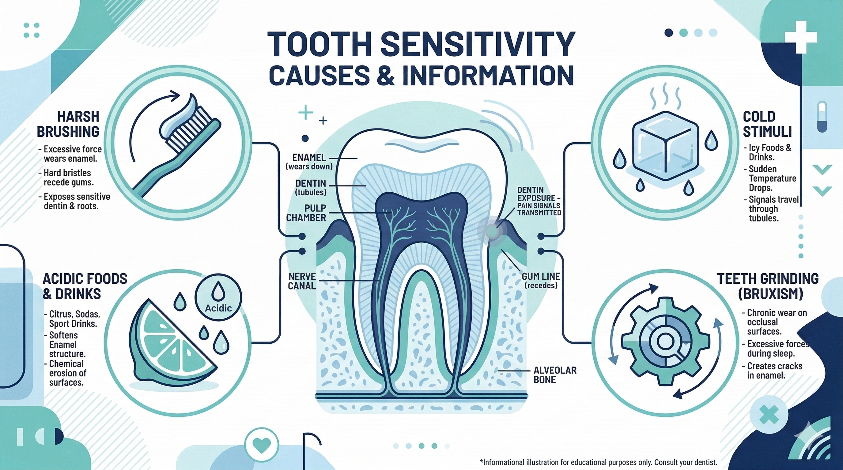 Tooth Sensitivity Infographic